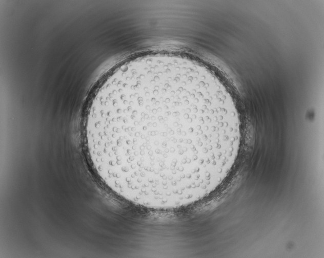 X0000116420978201001191446
