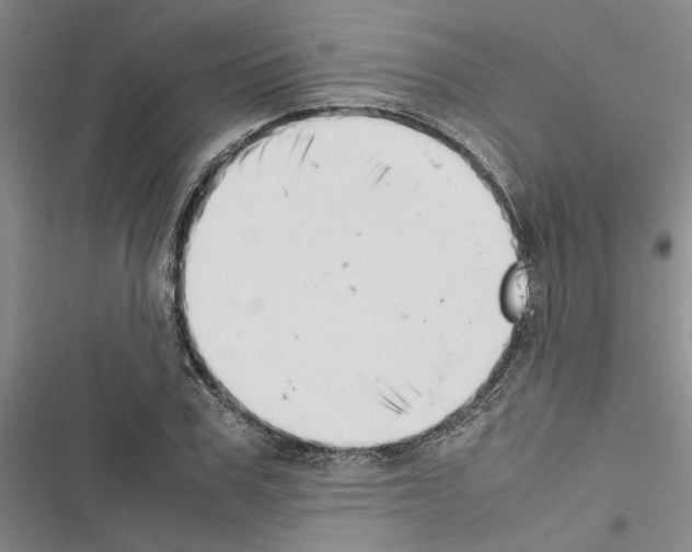 X0000116420979201001191446
