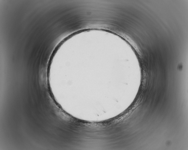 X0000116420980201001191446