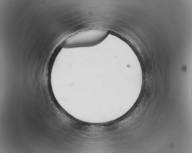X0000116420981201001191446