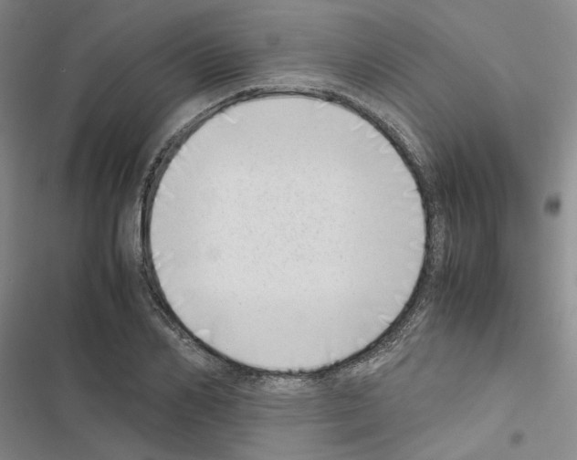 X0000116420982201001191446