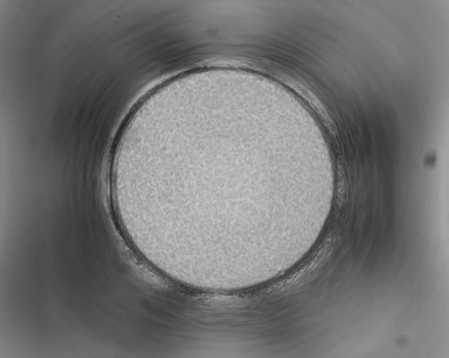 X0000116420984201001191446