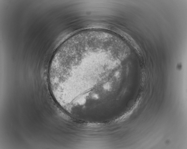 X0000116420985201001191446