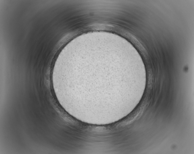 X0000116420986201001191446