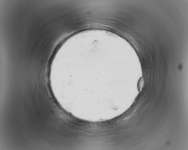 X0000116420987201001191446