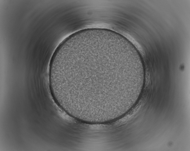 X0000116420988201001191446