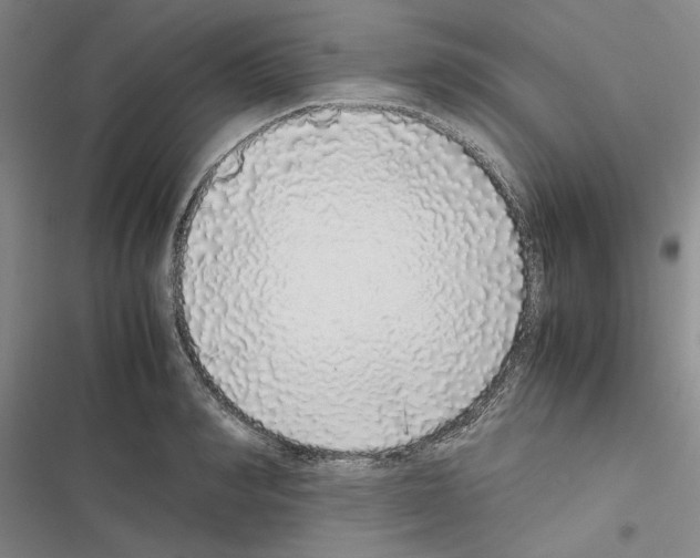 X0000116420990201001191446