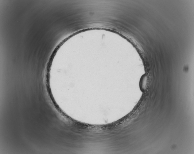 X0000116420991201001191446