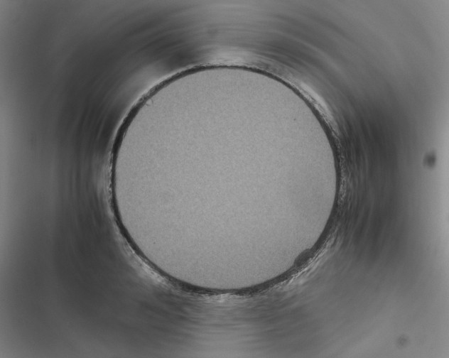 X0000116420992201001191446