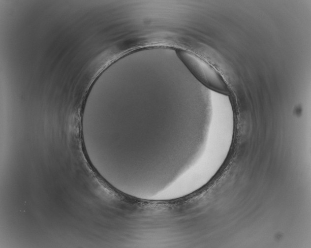 X0000116420993201001191446