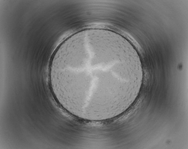 X0000116420994201001191446