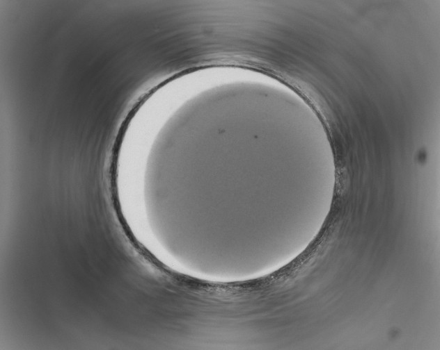 X0000116420995201001191446