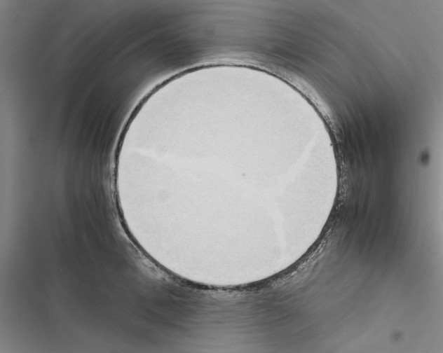 X0000116420996201001191446