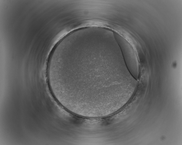 X0000116420997201001191446