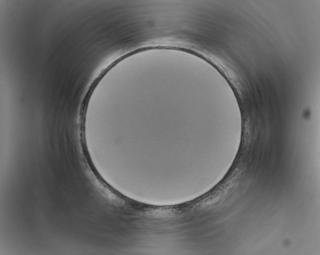 X0000116420998201001191446