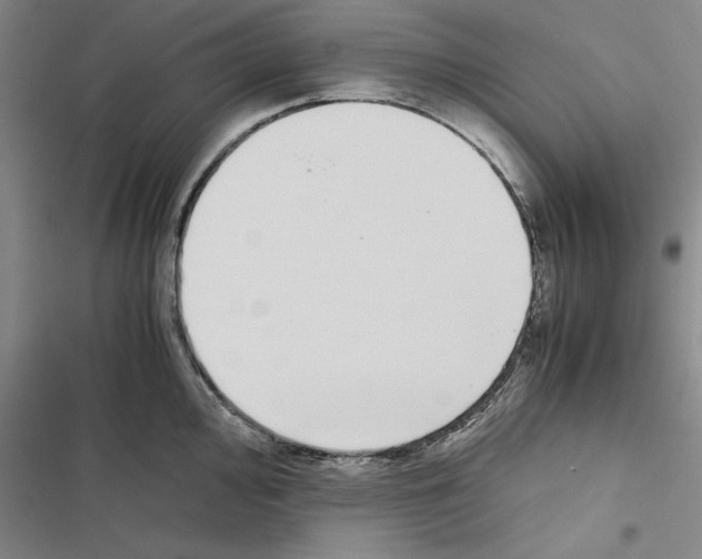X0000116421000201001191446