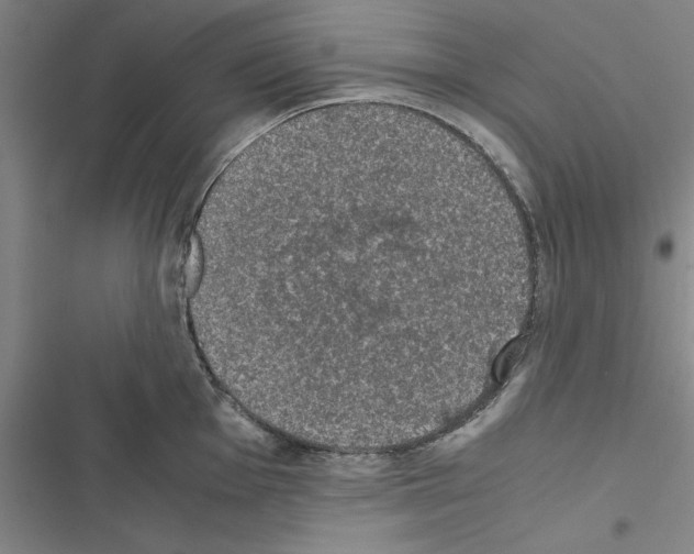 X0000116421001201001191446