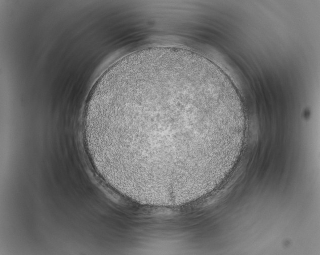 X0000116421002201001191446