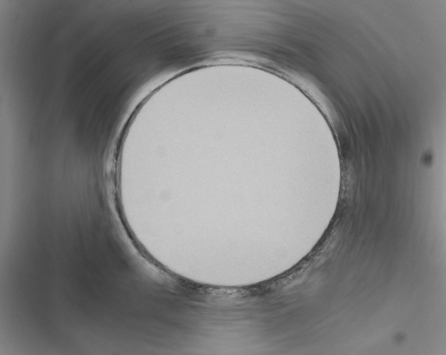 X0000116421003201001191446