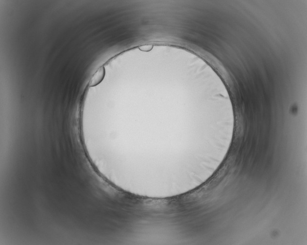 X0000116421006201001191446