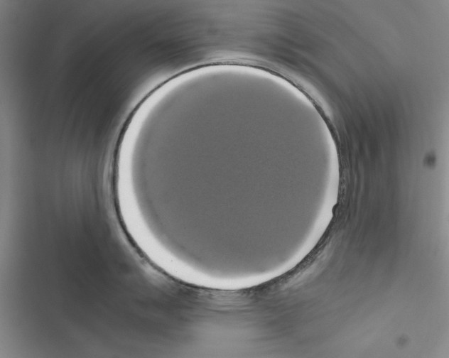 X0000116421007201001191446