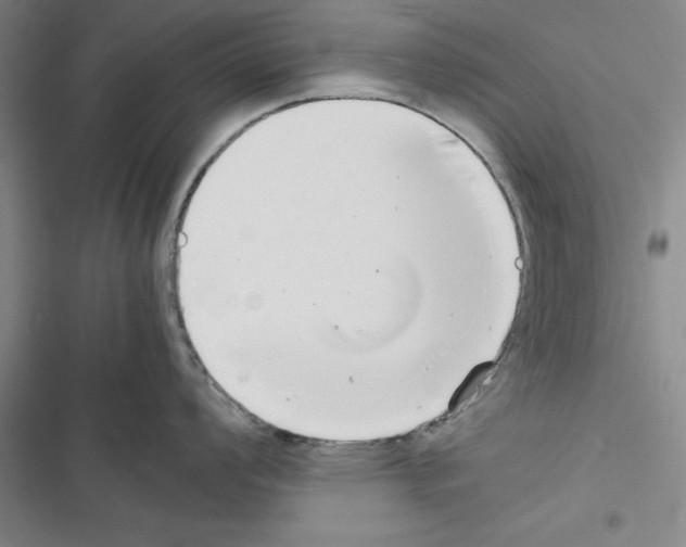 X0000116421008201001191446