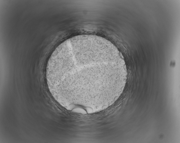 X0000116421009201001191445