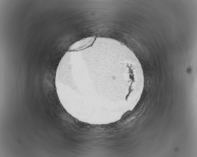 X0000116421010201001191445