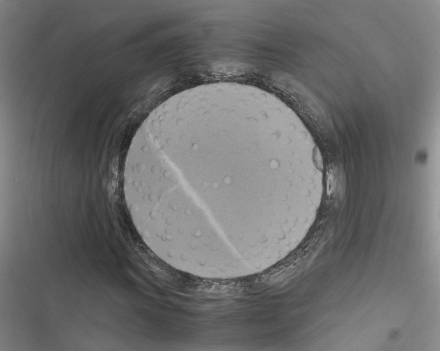X0000116421011201001191445