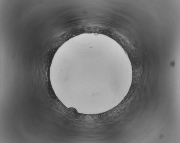 X0000116421013201001191445