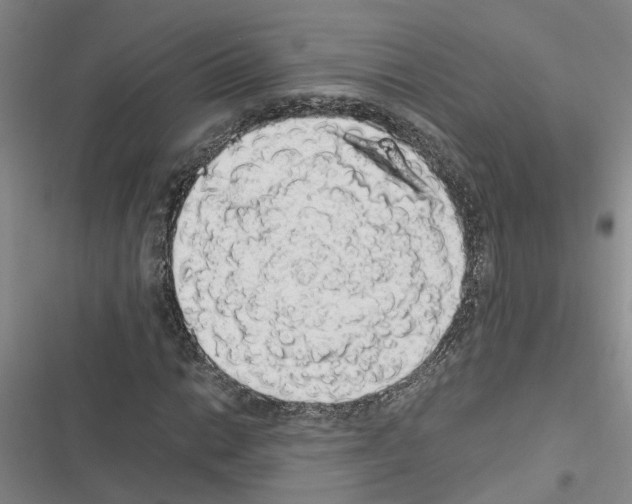 X0000116421014201001191445