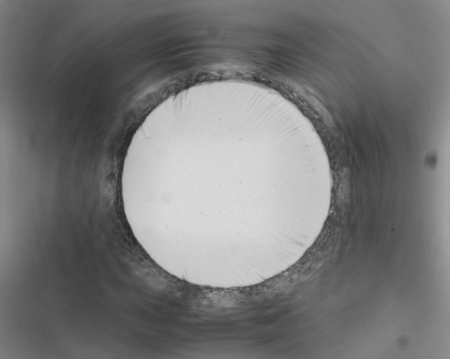 X0000116421015201001191445