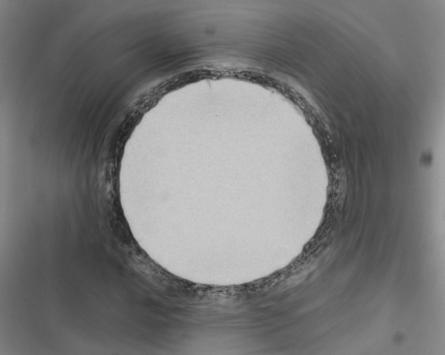 X0000116421016201001191445