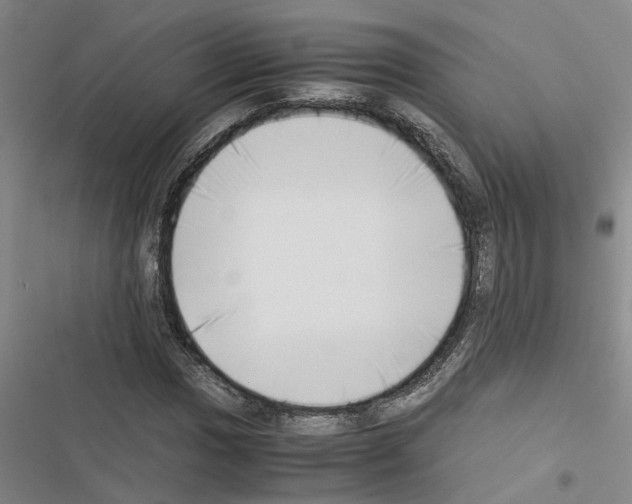 X0000116421017201001191445