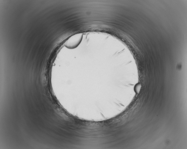 X0000116421018201001191445