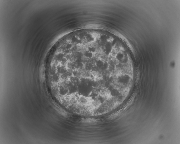 X0000116421019201001191445