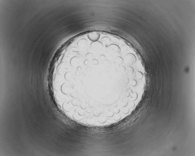 X0000116421020201001191445