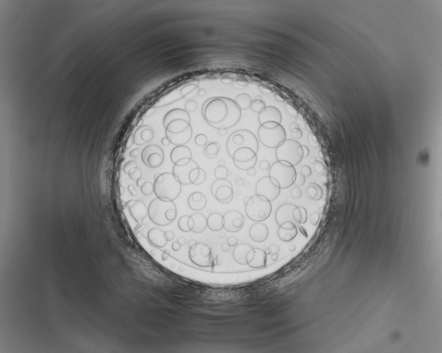 X0000116421021201001191445