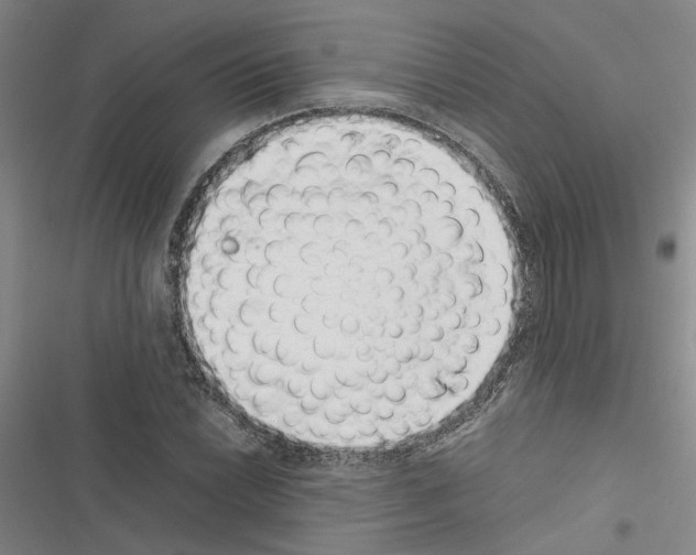 X0000116421022201001191445