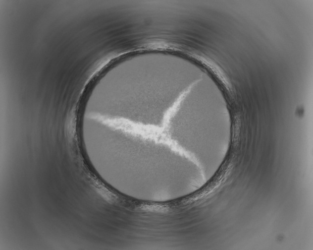 X0000116421023201001191445