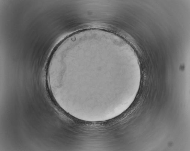 X0000116421024201001191445
