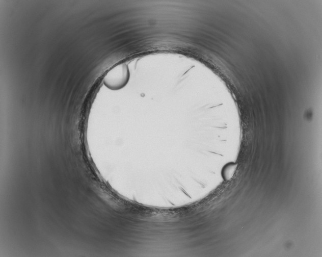 X0000116421026201001191445