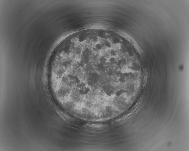 X0000116421027201001191445