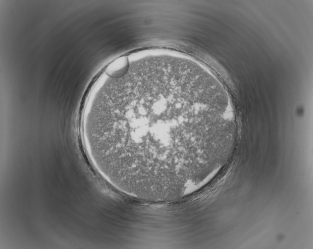 X0000116421028201001191445