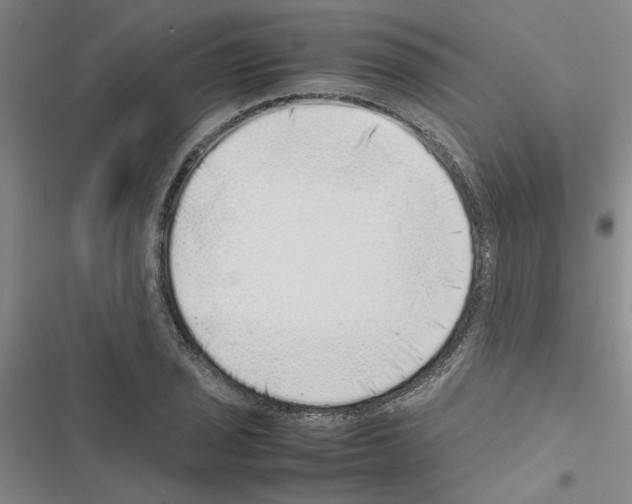 X0000116421029201001191445