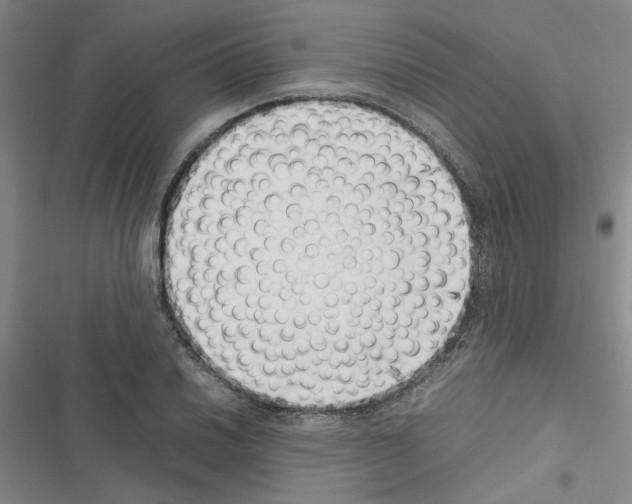 X0000116421030201001191445