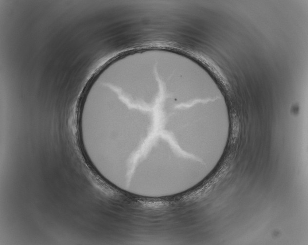 X0000116421031201001191445