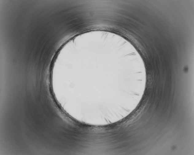 X0000116421034201001191446