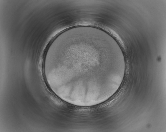 X0000116421035201001191446