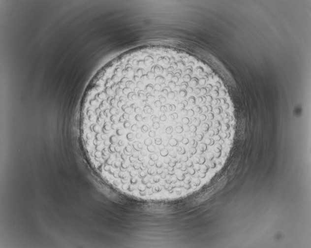 X0000116421036201001191446